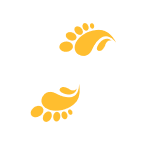 Discover Top Creators on Feetush